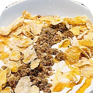 عريكة| Earika